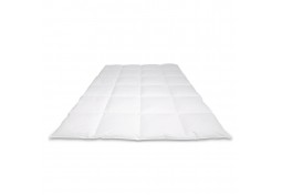 Cassenz dekbed dons Rembrandt