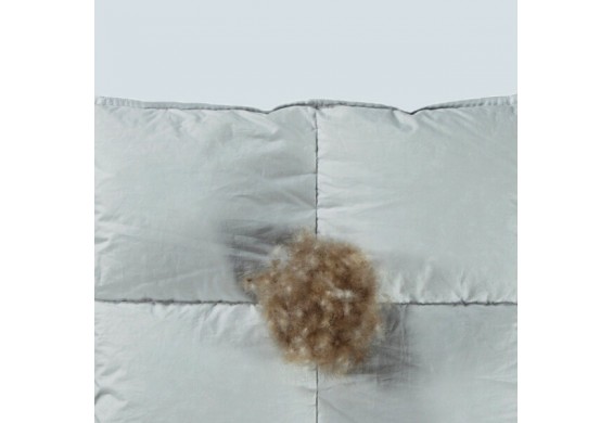 Cassenz dekbed eiderdons Monet