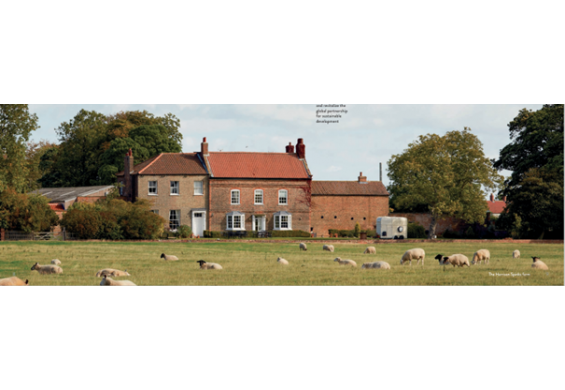 Malton matras 14000 by Harrison Spinks